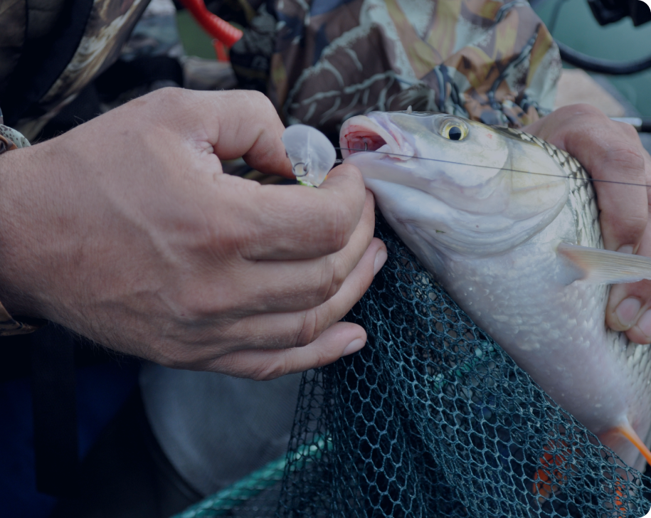 Lazona Plastik ve Balıkçılık, Ağ Kafes Dikimi, Ağ Kafes Bakım Onarımı, Ağ Kafes Antifouling Boyama, Hasat Tankları, Balık Ağı, Sistem Şamandıraları, Midye Yetiştiricilik Şamandıraları, Hat Döşeme, balıkçılık, balıkçılık malzemeleri, ağ malzemleri, ağ kafes malzemleri, Poliamid (Naylon) Ağlar, Polyester Ağlar, Polipropilen Ağlar, Polietilen Ağlar, UHMWPE Ağlar, Kare Kafesler,Yuvarlak Kafesler,Hamster Wheel Tipi Kuş Koruma Kulesi,Kare Kuş Koruma Kulesi, Braketler, Saeplast Hasat Tankları, Buz Arabaları